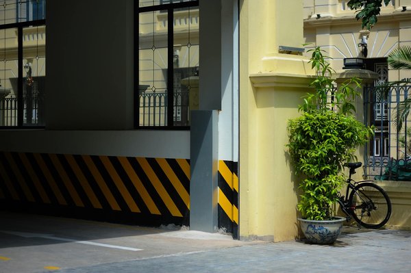 Produit naturel : lequel possède a un effet psychoactif ?