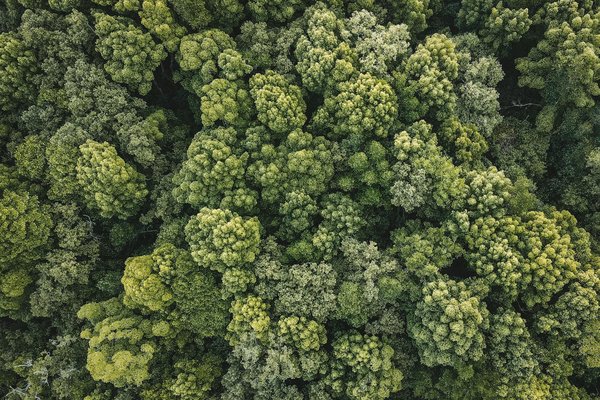 Comment fermer une entreprise ? Guide pratique